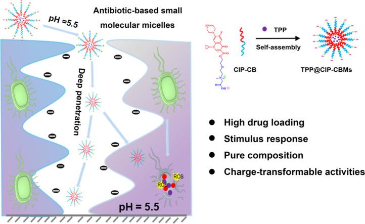 https://cdn.ncbi.nlm.nih.gov/pmc/blobs/a06c/10236462/ebb47a7f6de5/ga1.jpg