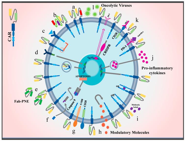 https://cdn.ncbi.nlm.nih.gov/pmc/blobs/a06e/11050550/924fe65cf1d4/ijms-25-04170-g005.jpg