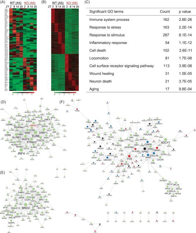 https://cdn.ncbi.nlm.nih.gov/pmc/blobs/a06f/8291534/783f877fa622/nwz002fig5.jpg