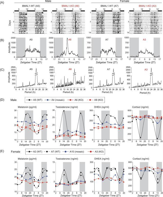 https://cdn.ncbi.nlm.nih.gov/pmc/blobs/a06f/8291534/89a42b41de39/nwz002fig2.jpg