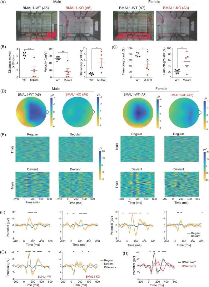 https://cdn.ncbi.nlm.nih.gov/pmc/blobs/a06f/8291534/98d92e9fade4/nwz002fig4.jpg