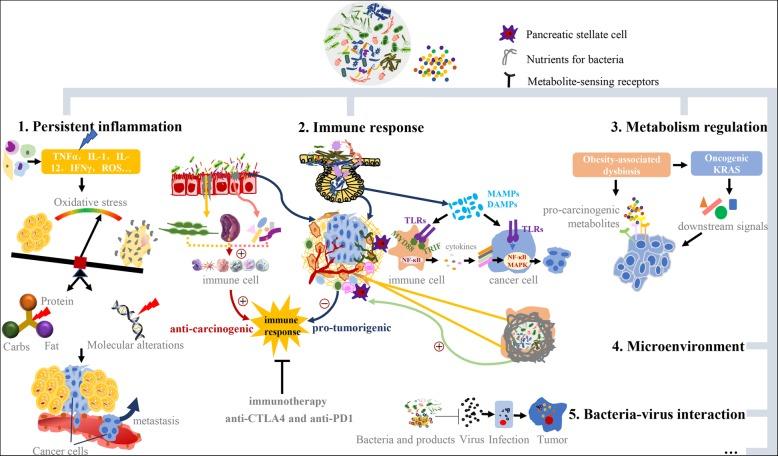 https://cdn.ncbi.nlm.nih.gov/pmc/blobs/a071/6526613/0bcf3adb438d/12943_2019_1008_Fig2_HTML.jpg