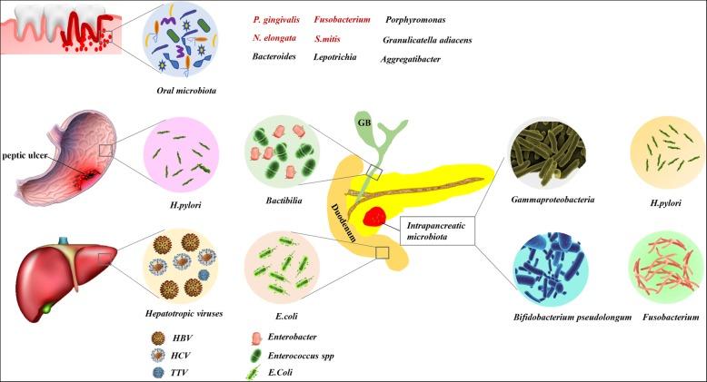 https://cdn.ncbi.nlm.nih.gov/pmc/blobs/a071/6526613/66552917e352/12943_2019_1008_Fig1_HTML.jpg