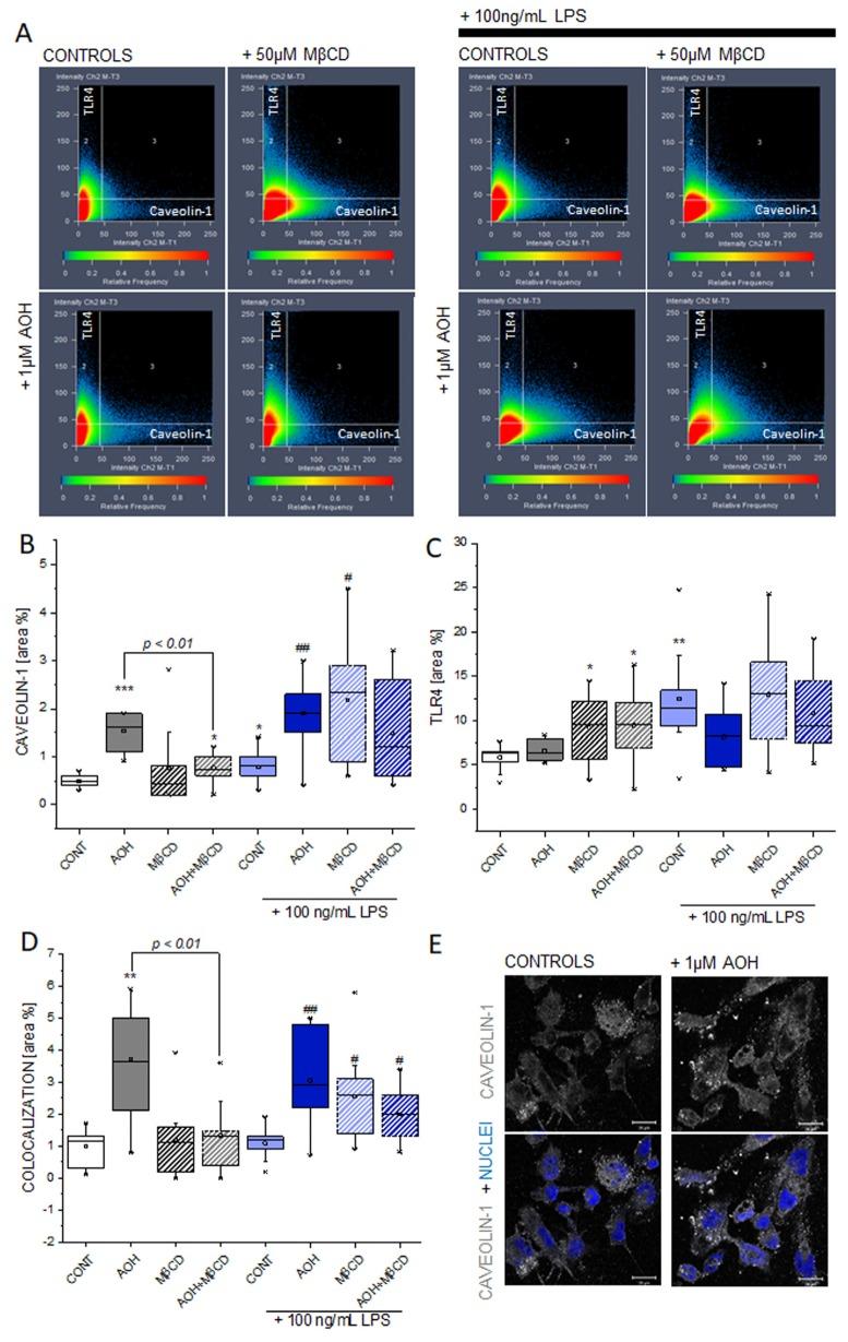 https://cdn.ncbi.nlm.nih.gov/pmc/blobs/a072/7226804/d59e73a5add2/cells-09-00847-g006.jpg