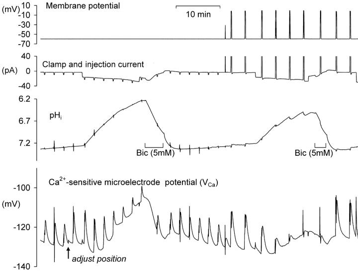 https://cdn.ncbi.nlm.nih.gov/pmc/blobs/a073/2229535/3657af3c0268/20028665f8.jpg