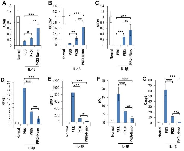 https://cdn.ncbi.nlm.nih.gov/pmc/blobs/a075/6857658/523cd93d47e2/IJN-14-8835-g0004.jpg