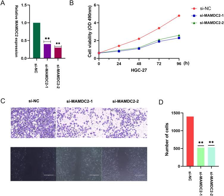 https://cdn.ncbi.nlm.nih.gov/pmc/blobs/a077/12124315/0351c05ae8bc/OTT-18-679-g0006.jpg