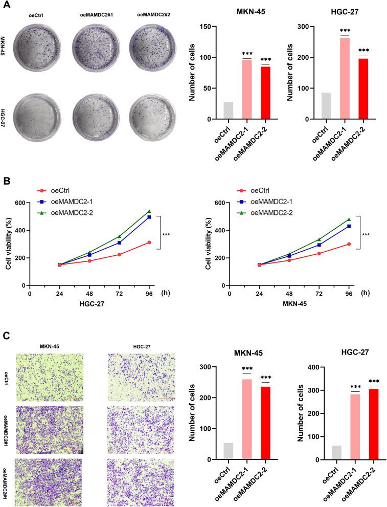https://cdn.ncbi.nlm.nih.gov/pmc/blobs/a077/12124315/6b4c4e86fdff/OTT-18-679-g0007.jpg