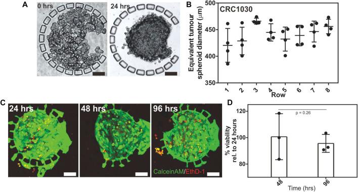 https://cdn.ncbi.nlm.nih.gov/pmc/blobs/a077/9488115/a3cfc8ae841d/fbioe-10-952726-g002.jpg