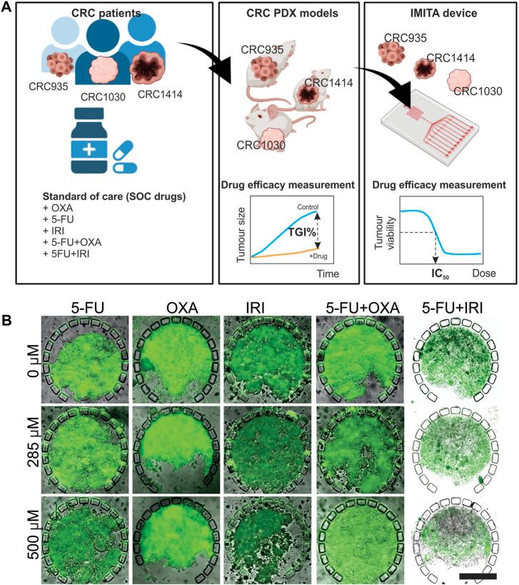 https://cdn.ncbi.nlm.nih.gov/pmc/blobs/a077/9488115/d0d696345331/fbioe-10-952726-g003.jpg