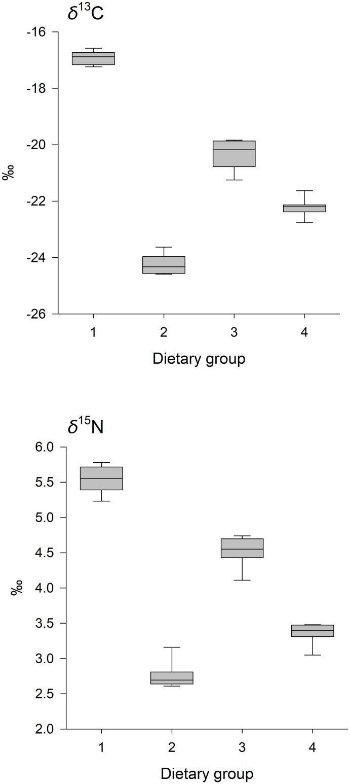 https://cdn.ncbi.nlm.nih.gov/pmc/blobs/a078/11178173/5d54772be1b9/pone.0304495.g001.jpg