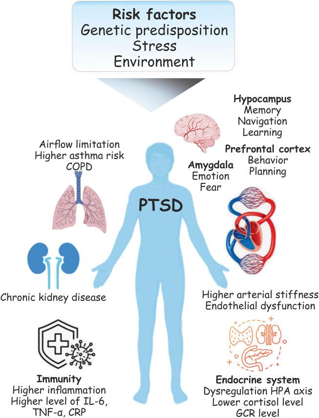 https://cdn.ncbi.nlm.nih.gov/pmc/blobs/a079/9871262/6de991bd1825/fphys-13-1094076-g001.jpg