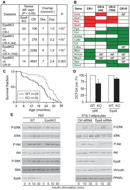 https://cdn.ncbi.nlm.nih.gov/pmc/blobs/a07a/2830459/c852b67d8714/pone.0009468.g005.jpg