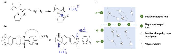 https://cdn.ncbi.nlm.nih.gov/pmc/blobs/a07c/12089618/00c2bd51e23d/40820_2025_1736_Fig12_HTML.jpg