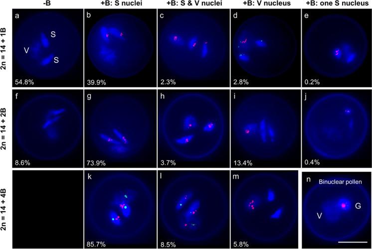 https://cdn.ncbi.nlm.nih.gov/pmc/blobs/a07d/10474989/b7a5aa21ac5f/10577_2023_9728_Fig2_HTML.jpg