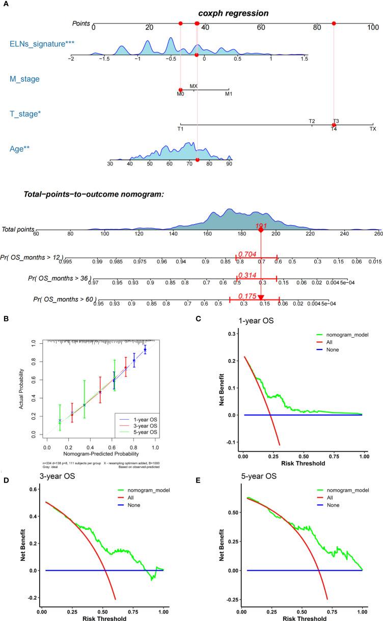 https://cdn.ncbi.nlm.nih.gov/pmc/blobs/a07f/9667298/ba09804a8863/fimmu-13-947802-g015.jpg