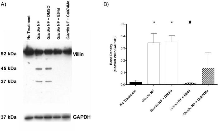 https://cdn.ncbi.nlm.nih.gov/pmc/blobs/a082/4559405/0907a7da602e/pone.0136102.g008.jpg