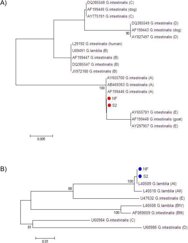 https://cdn.ncbi.nlm.nih.gov/pmc/blobs/a082/4559405/7908adf03a34/pone.0136102.g002.jpg