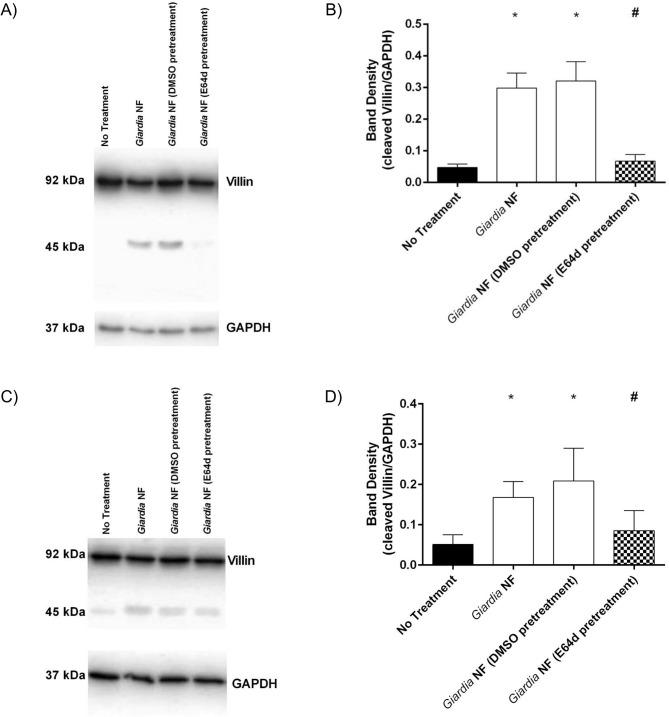 https://cdn.ncbi.nlm.nih.gov/pmc/blobs/a082/4559405/d411cc0c6ff0/pone.0136102.g007.jpg