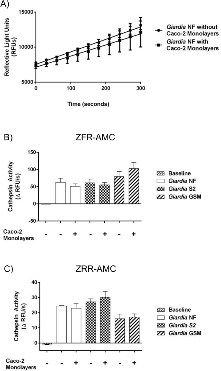 https://cdn.ncbi.nlm.nih.gov/pmc/blobs/a082/4559405/ea44a8bd41a8/pone.0136102.g003.jpg