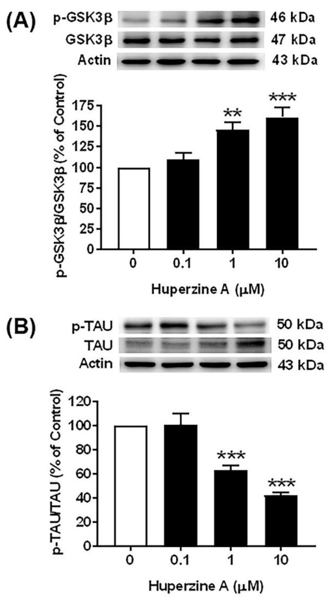 https://cdn.ncbi.nlm.nih.gov/pmc/blobs/a084/11273828/6375096ecf26/biology-13-00518-g005.jpg