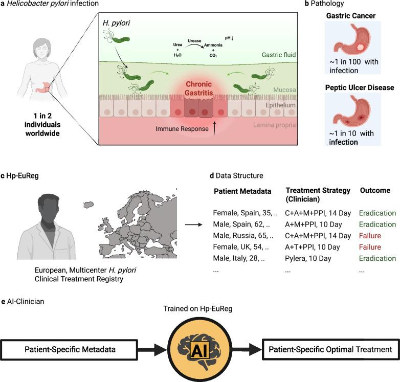 https://cdn.ncbi.nlm.nih.gov/pmc/blobs/a085/12259899/5c6533bb731d/41467_2025_61329_Fig1_HTML.jpg