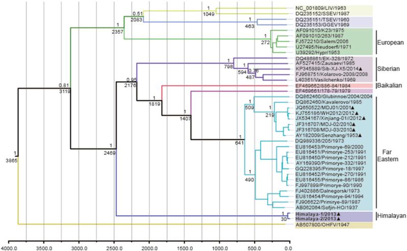 https://cdn.ncbi.nlm.nih.gov/pmc/blobs/a085/5915441/2002f3846fca/41426_2018_81_Fig2_HTML.jpg