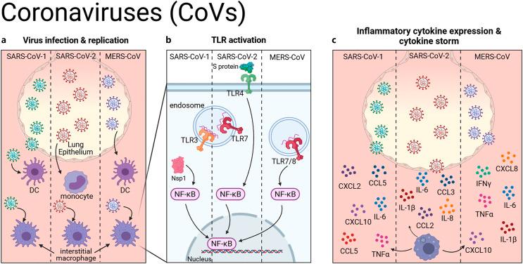 https://cdn.ncbi.nlm.nih.gov/pmc/blobs/a087/11845175/a9db1885a3bd/jin-2025-0017-0001-543608_F02.jpg