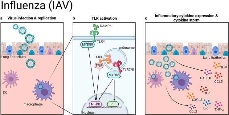 https://cdn.ncbi.nlm.nih.gov/pmc/blobs/a087/11845175/bfacd678f7f1/jin-2025-0017-0001-543608_F01.jpg