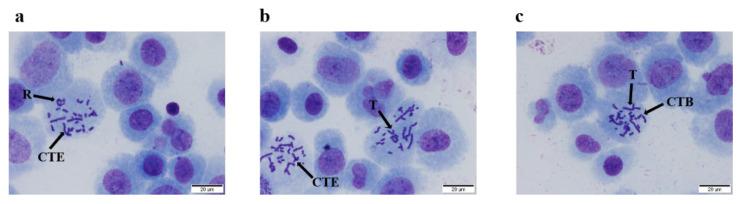 https://cdn.ncbi.nlm.nih.gov/pmc/blobs/a08a/9182831/e1baa22ce471/nutrients-14-02238-g002.jpg
