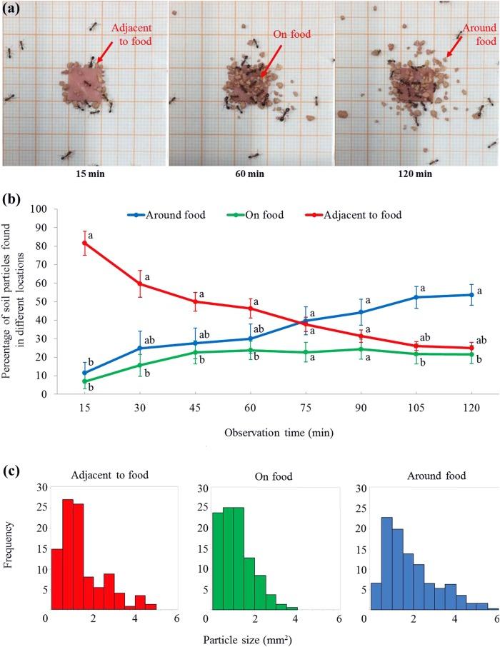 https://cdn.ncbi.nlm.nih.gov/pmc/blobs/a08b/6348953/b07875a10d70/peerj-07-6349-g004.jpg