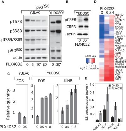 https://cdn.ncbi.nlm.nih.gov/pmc/blobs/a08c/2848976/0d02fdc44c29/pcr0023-0190-f4.jpg