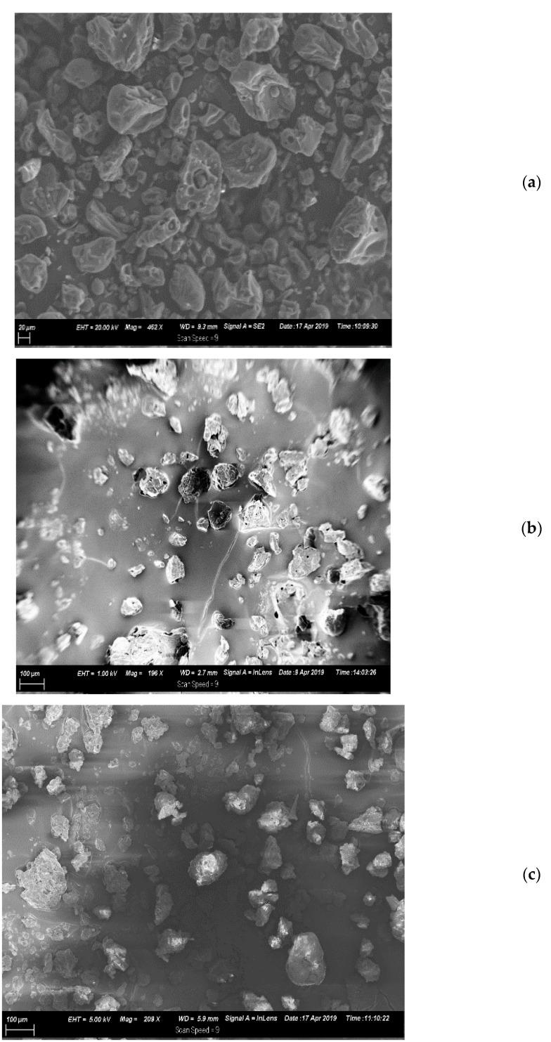 https://cdn.ncbi.nlm.nih.gov/pmc/blobs/a08c/8532746/b866c3f2e763/animals-11-02919-g001.jpg
