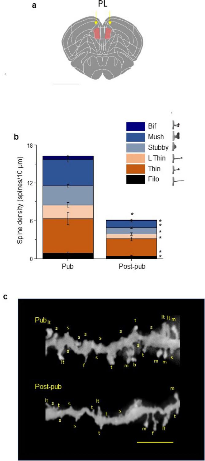 https://cdn.ncbi.nlm.nih.gov/pmc/blobs/a08f/8548505/1da9f5d03fb1/41598_2021_99965_Fig1_HTML.jpg