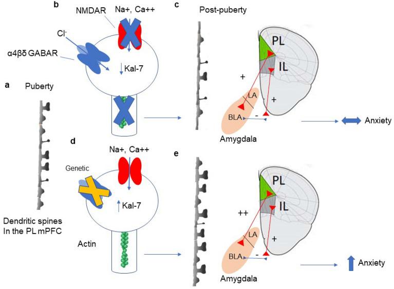 https://cdn.ncbi.nlm.nih.gov/pmc/blobs/a08f/8548505/3fbef6359fa8/41598_2021_99965_Fig7_HTML.jpg