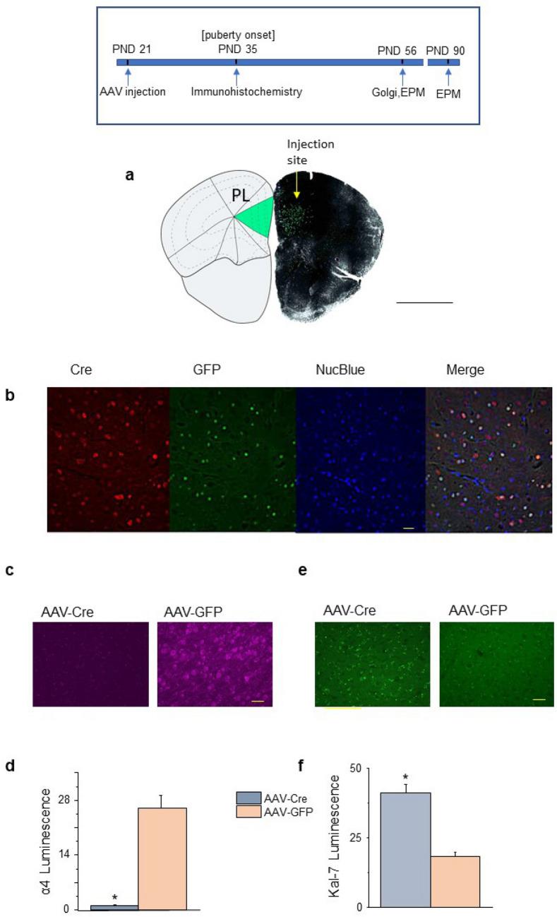https://cdn.ncbi.nlm.nih.gov/pmc/blobs/a08f/8548505/77c044c18922/41598_2021_99965_Fig5_HTML.jpg