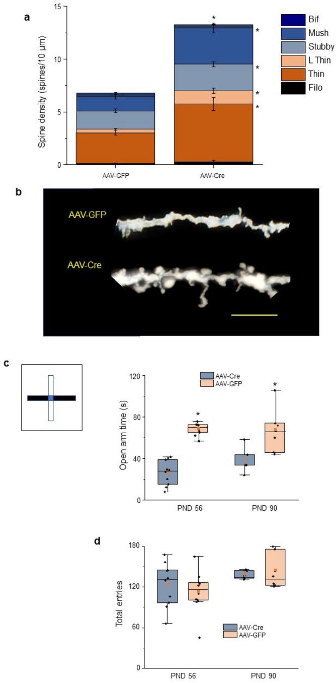 https://cdn.ncbi.nlm.nih.gov/pmc/blobs/a08f/8548505/bc6890d39f5c/41598_2021_99965_Fig6_HTML.jpg