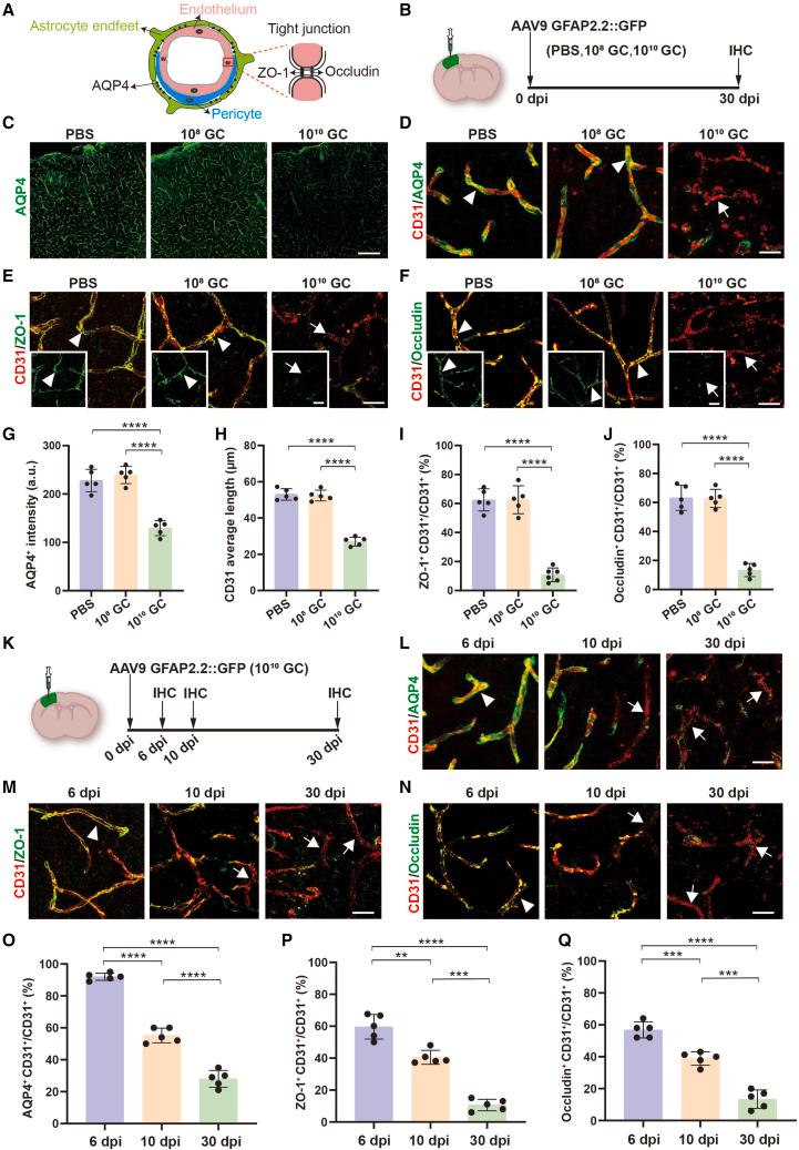 https://cdn.ncbi.nlm.nih.gov/pmc/blobs/a092/10518493/b87387e49d80/gr2.jpg