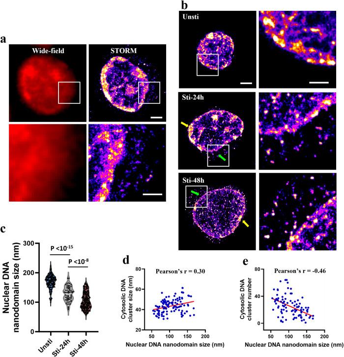 https://cdn.ncbi.nlm.nih.gov/pmc/blobs/a095/11164909/42a6fdfb1576/42003_2024_6393_Fig5_HTML.jpg