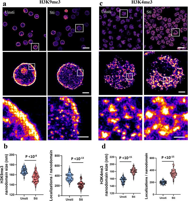 https://cdn.ncbi.nlm.nih.gov/pmc/blobs/a095/11164909/883ff7ccb71c/42003_2024_6393_Fig2_HTML.jpg