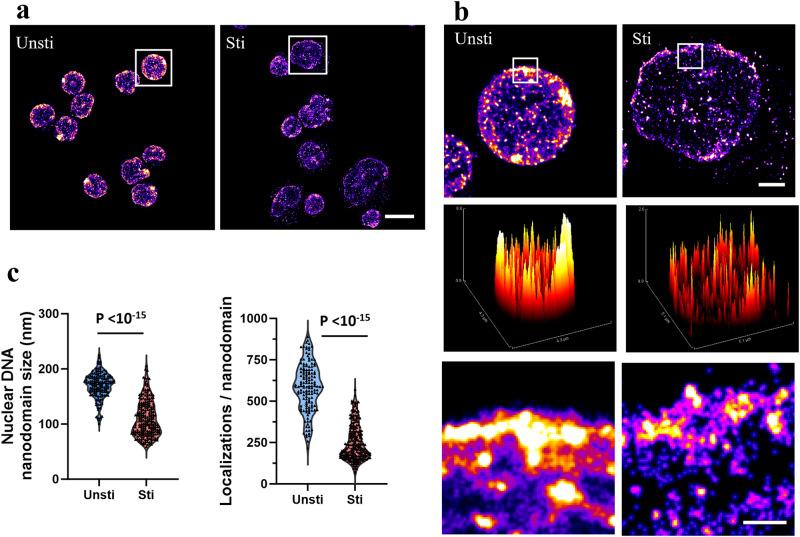 https://cdn.ncbi.nlm.nih.gov/pmc/blobs/a095/11164909/c17b039a95ff/42003_2024_6393_Fig1_HTML.jpg