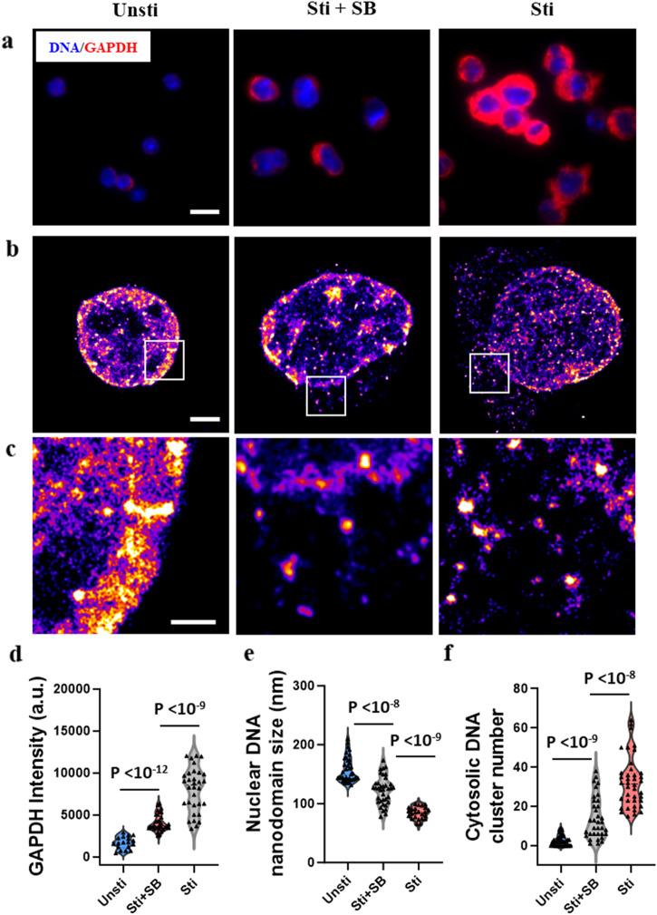 https://cdn.ncbi.nlm.nih.gov/pmc/blobs/a095/11164909/df9cf22cfa07/42003_2024_6393_Fig6_HTML.jpg