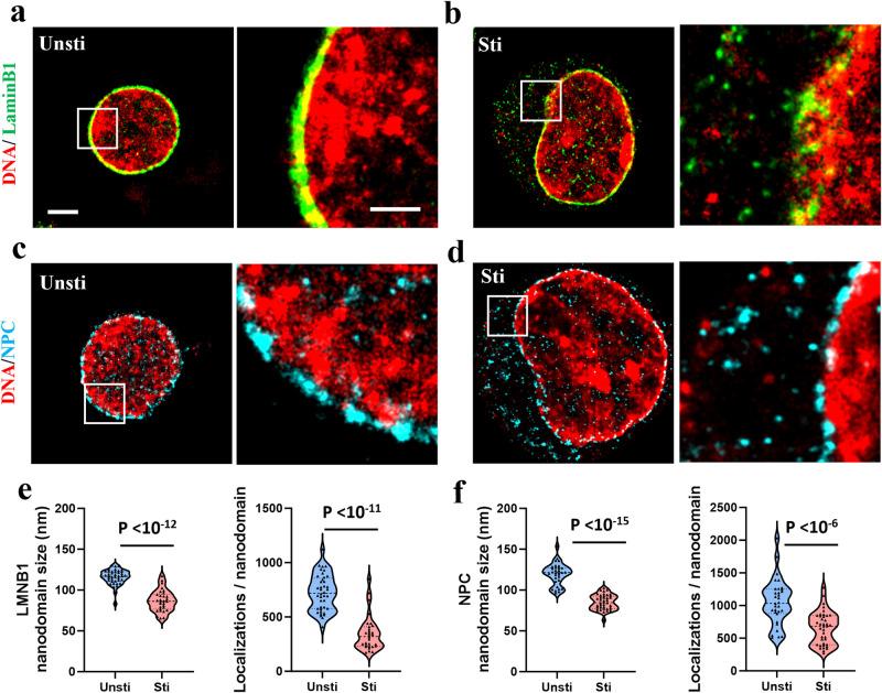 https://cdn.ncbi.nlm.nih.gov/pmc/blobs/a095/11164909/e98f3ef56056/42003_2024_6393_Fig4_HTML.jpg