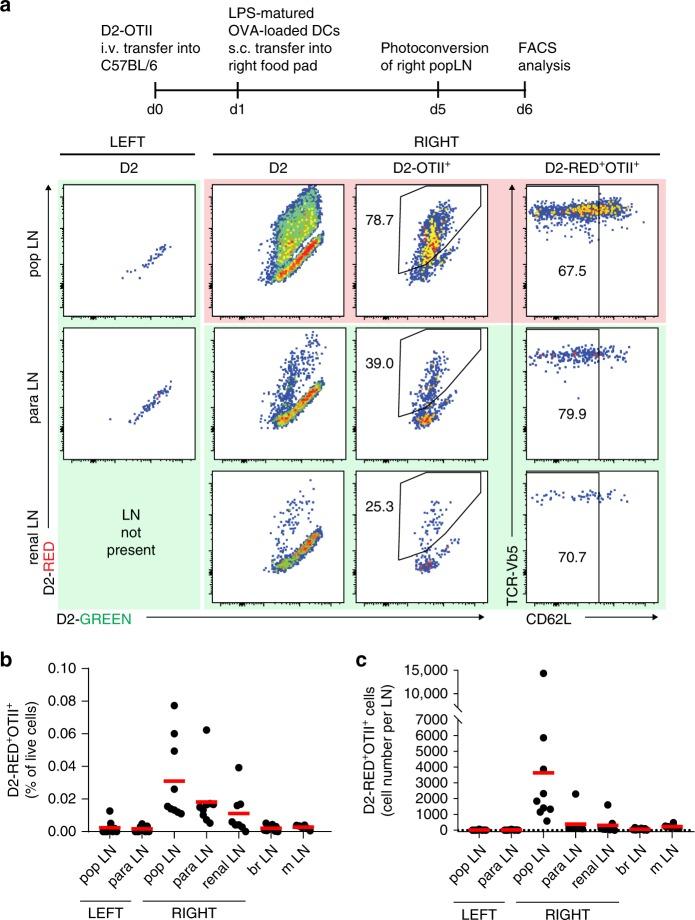 https://cdn.ncbi.nlm.nih.gov/pmc/blobs/a095/7048855/99cbcfc7091f/41467_2020_14921_Fig1_HTML.jpg