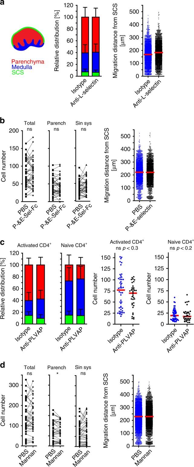 https://cdn.ncbi.nlm.nih.gov/pmc/blobs/a095/7048855/9e187161daba/41467_2020_14921_Fig5_HTML.jpg