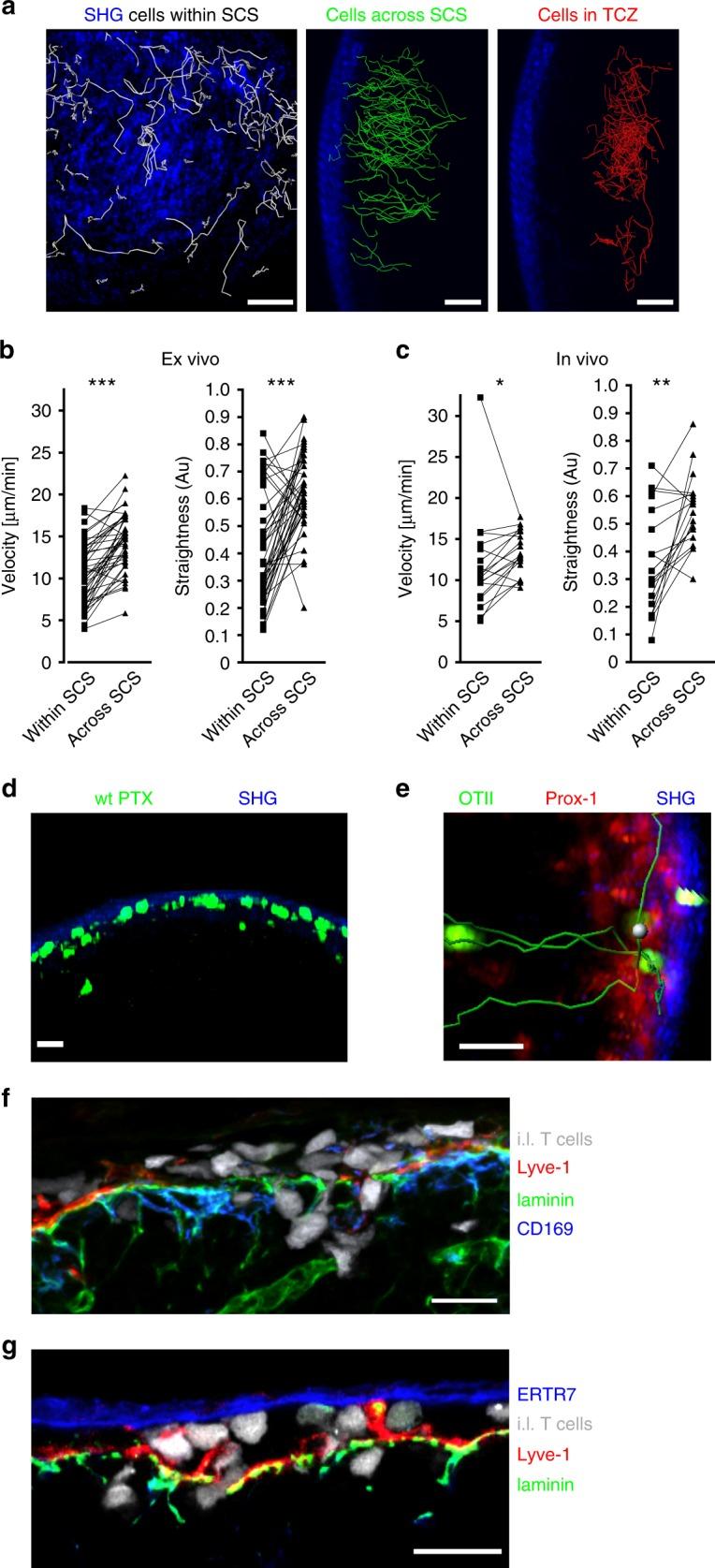 https://cdn.ncbi.nlm.nih.gov/pmc/blobs/a095/7048855/a899b10d4c71/41467_2020_14921_Fig4_HTML.jpg