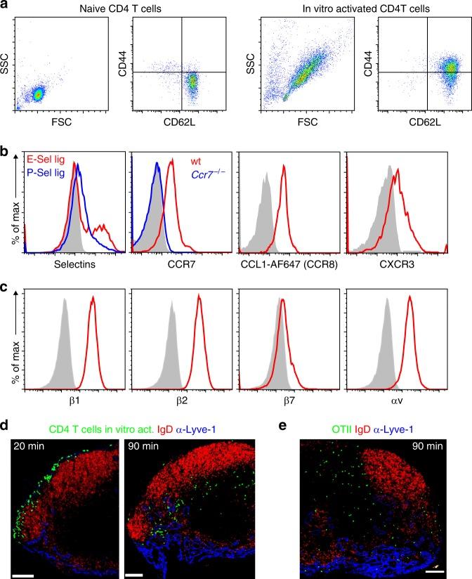 https://cdn.ncbi.nlm.nih.gov/pmc/blobs/a095/7048855/ff8d52bf575a/41467_2020_14921_Fig2_HTML.jpg