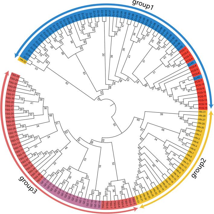 https://cdn.ncbi.nlm.nih.gov/pmc/blobs/a096/12020434/870a926d4727/fgene-16-1542287-g003.jpg