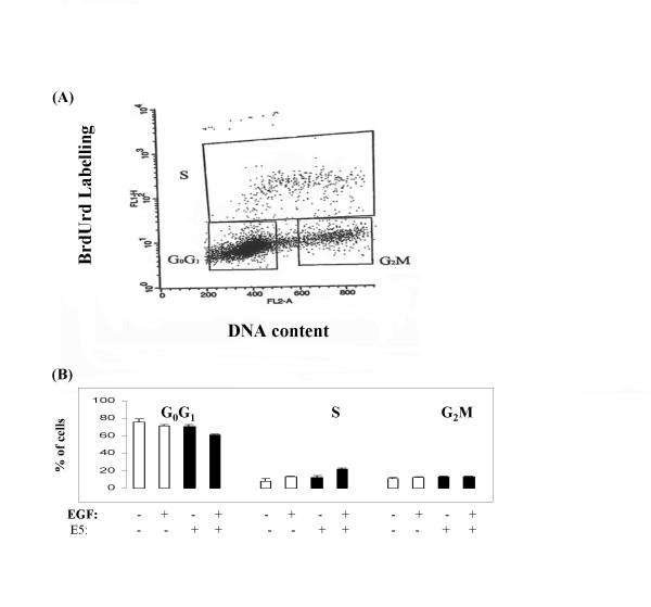 https://cdn.ncbi.nlm.nih.gov/pmc/blobs/a097/1569872/7941cdd18473/1475-2867-6-19-4.jpg