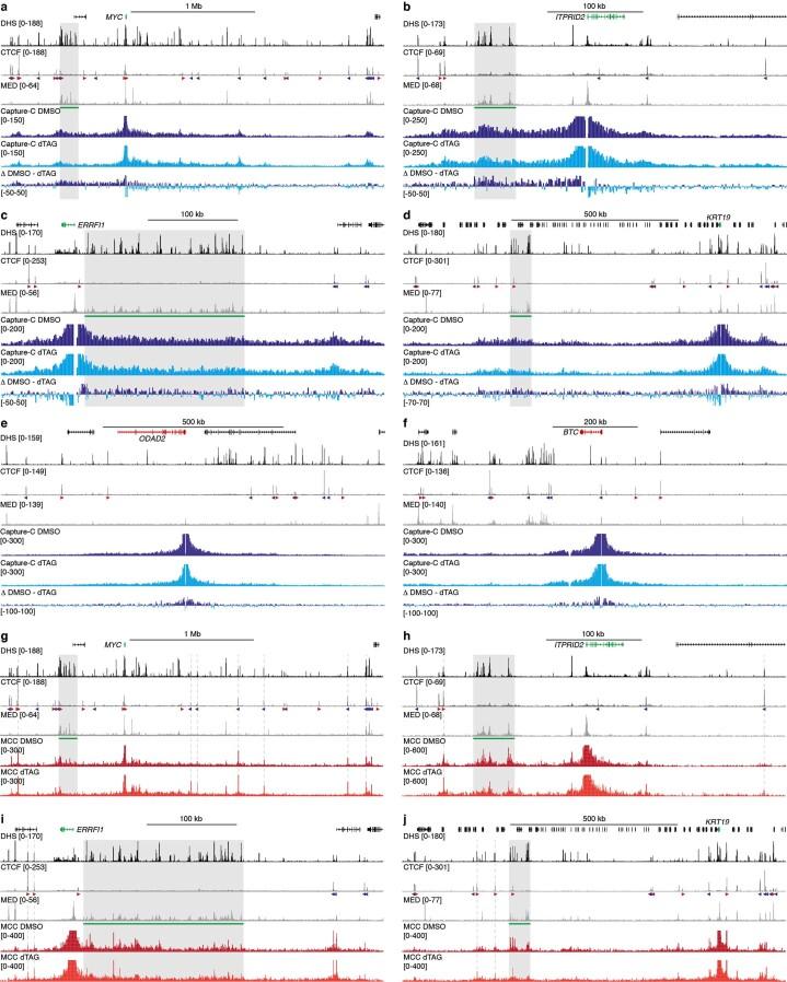 https://cdn.ncbi.nlm.nih.gov/pmc/blobs/a099/10352134/41721058d518/41594_2023_1027_Fig8_ESM.jpg